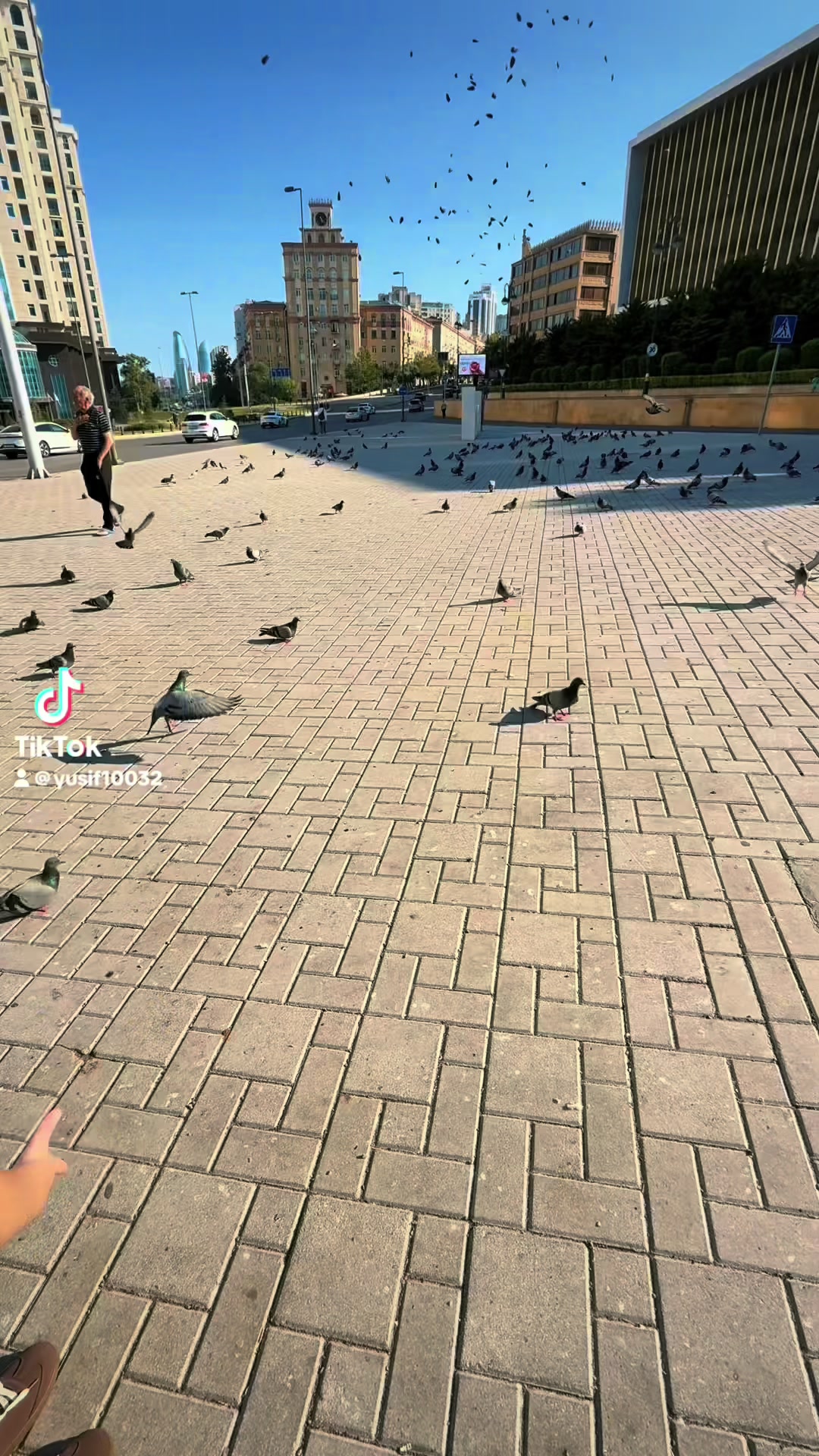 @🇦🇿🐦&zwj;🔥Quliyev.Y