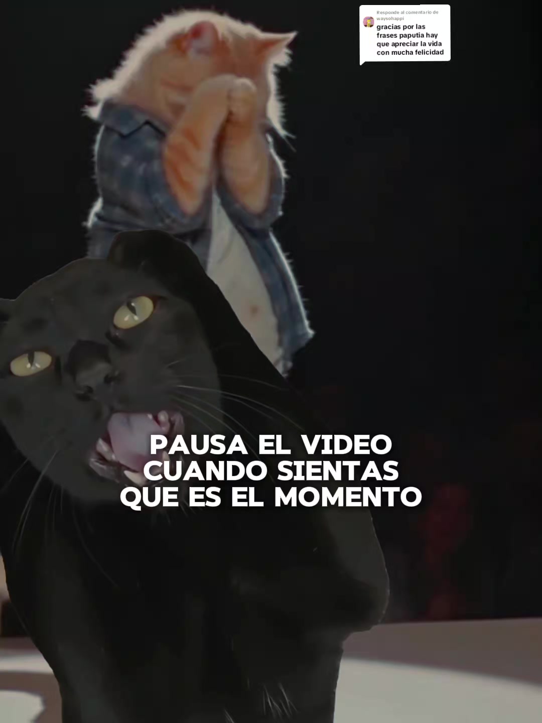 @Ivonne