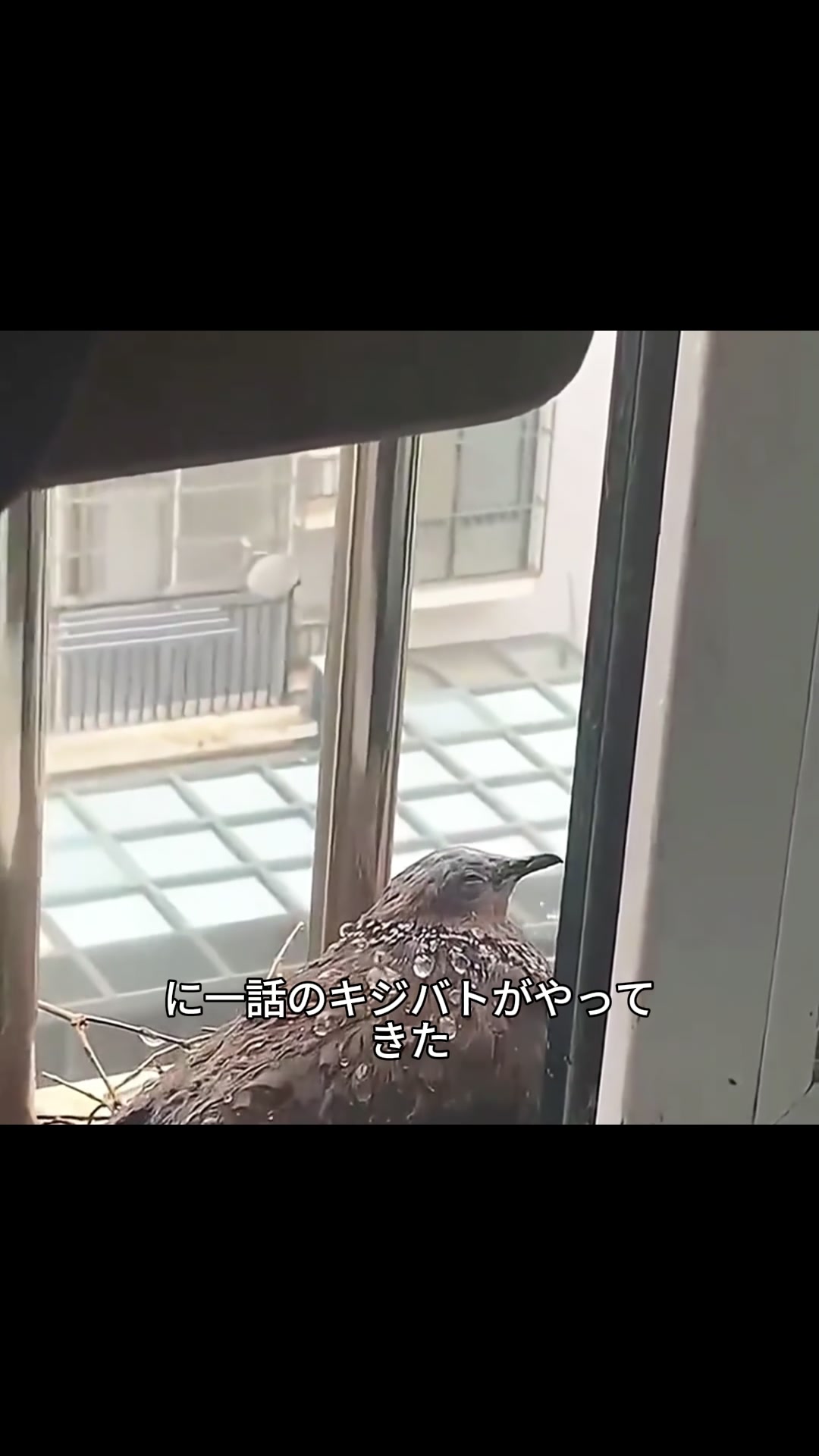 @斎藤アウトドア