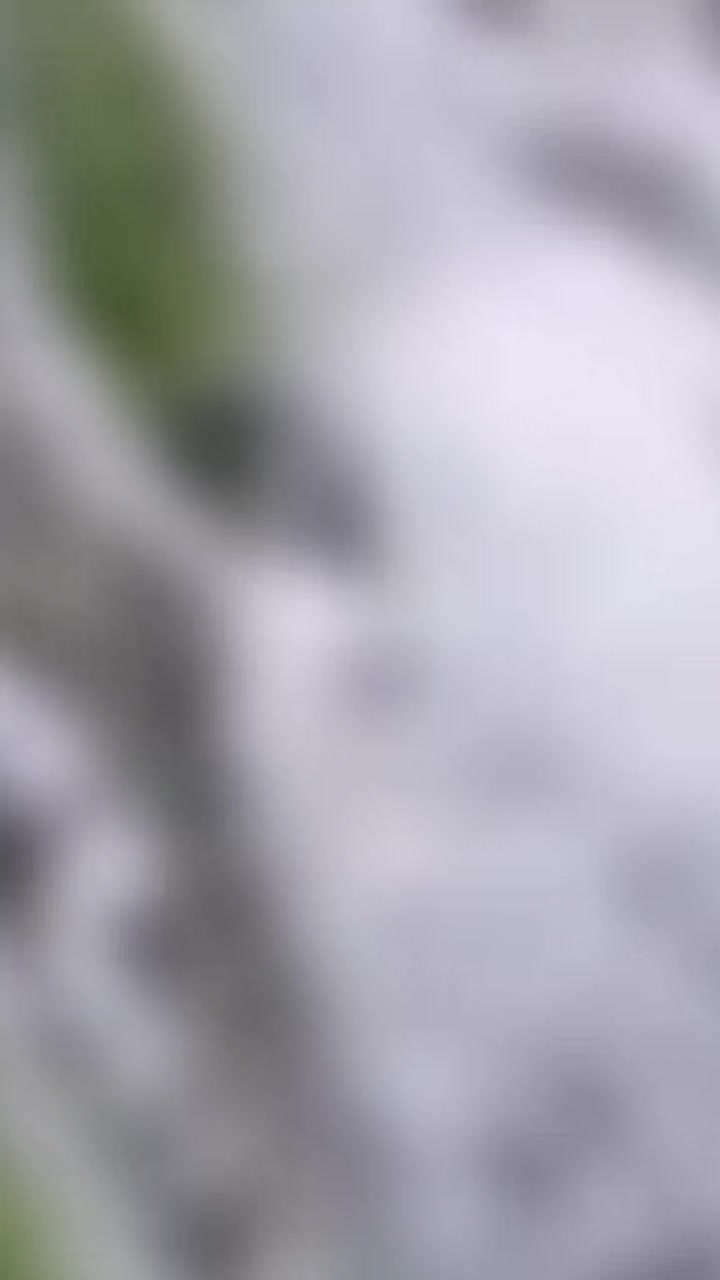 @आकाश अधिकारि
