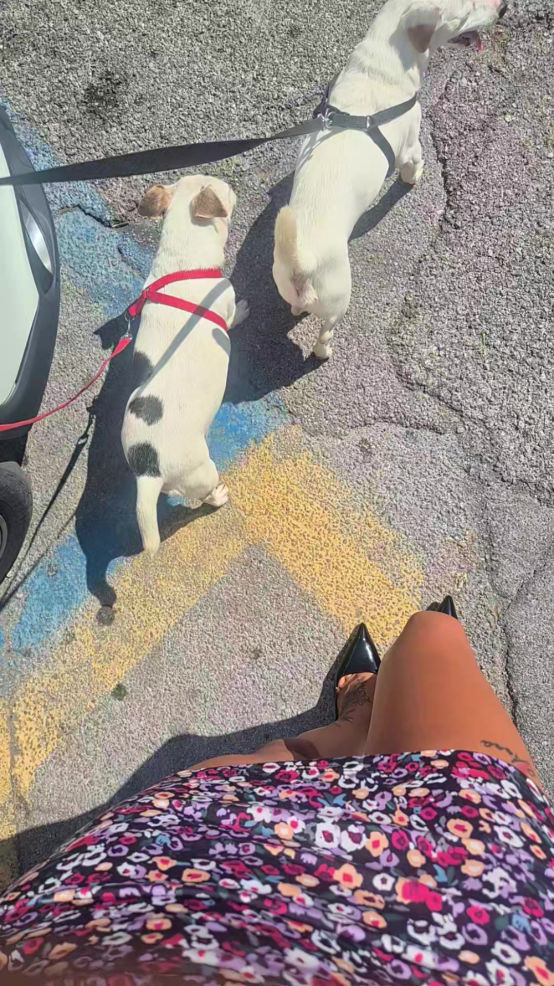 @LaMelissa2