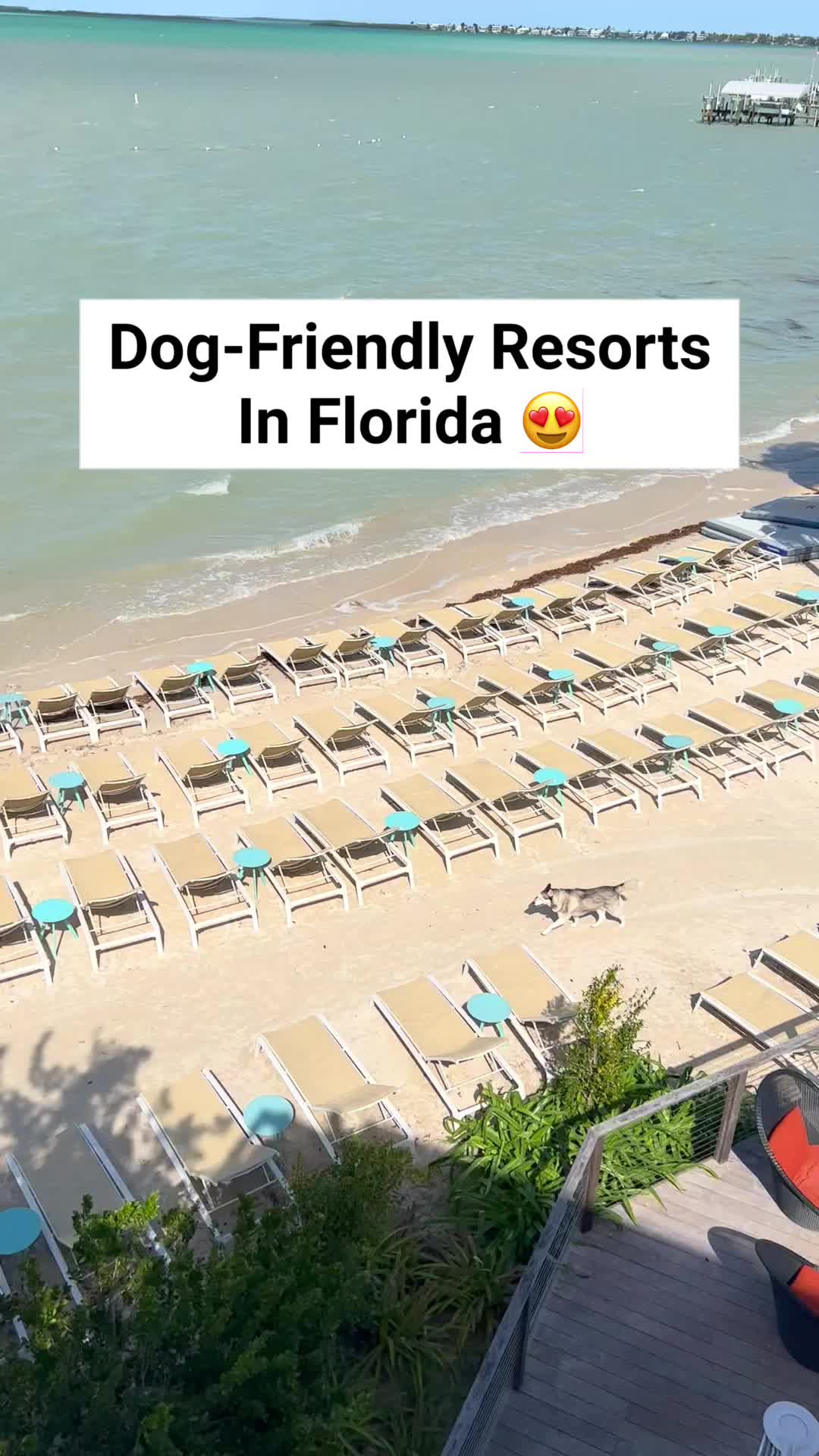 @Followmeaway