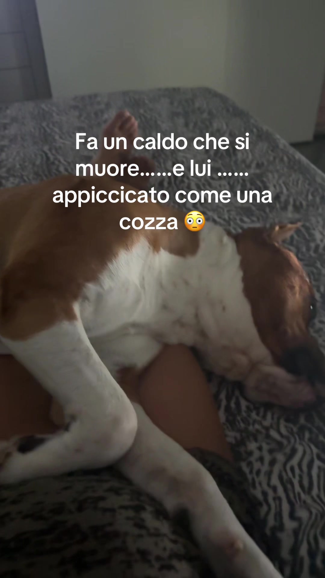 @Anna Lombardi