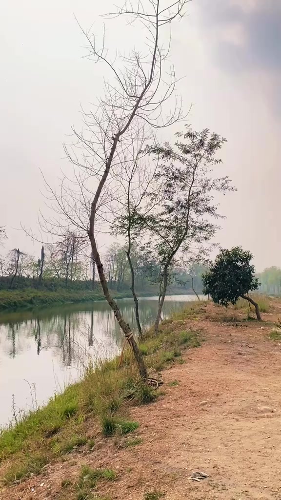 @Manish M Tamang