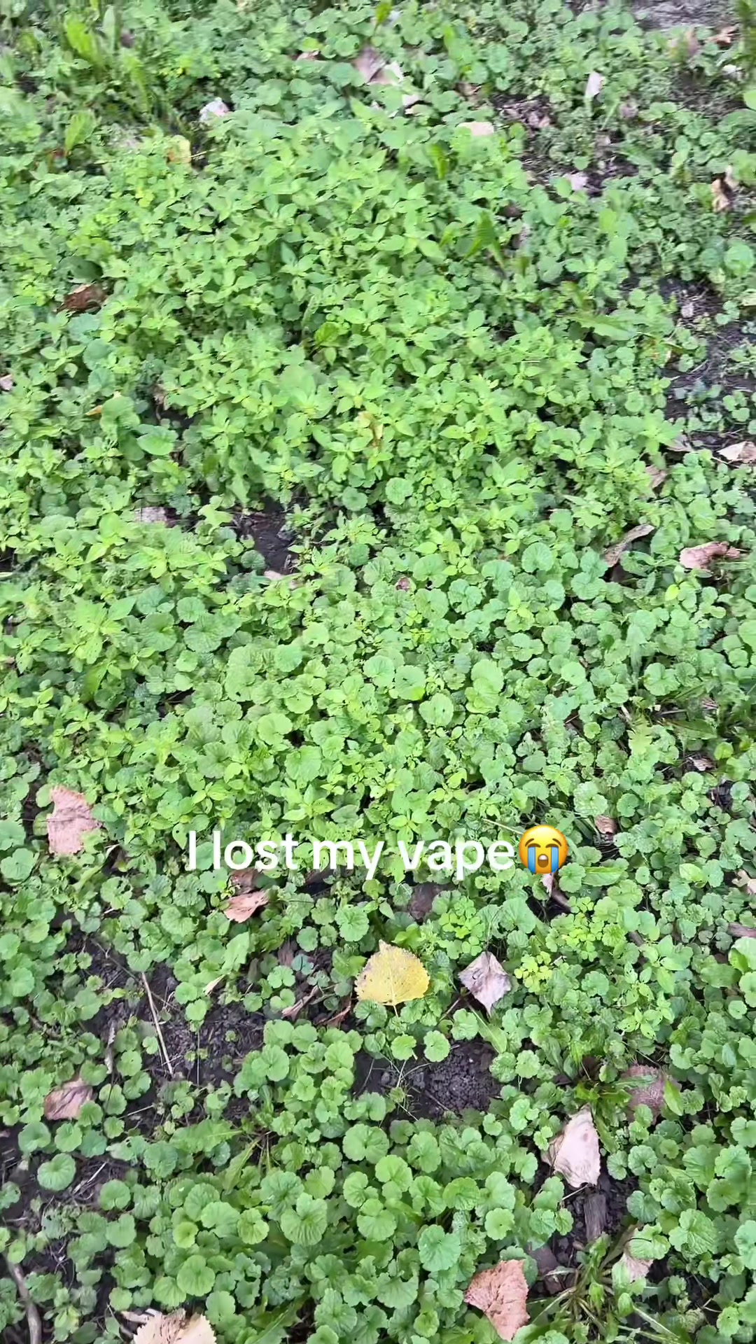 @Jessicas_pov