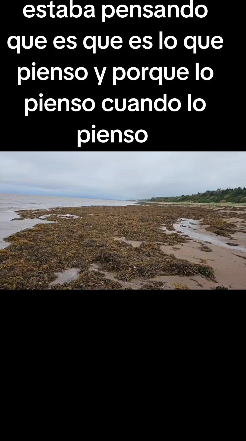 @osias