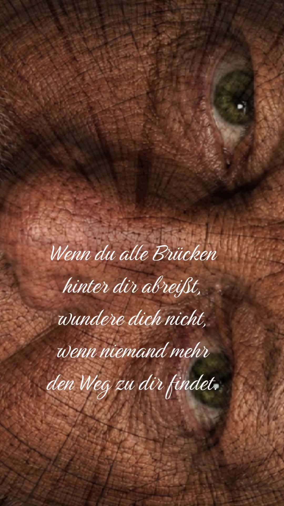 @Tom’s Tagebuch