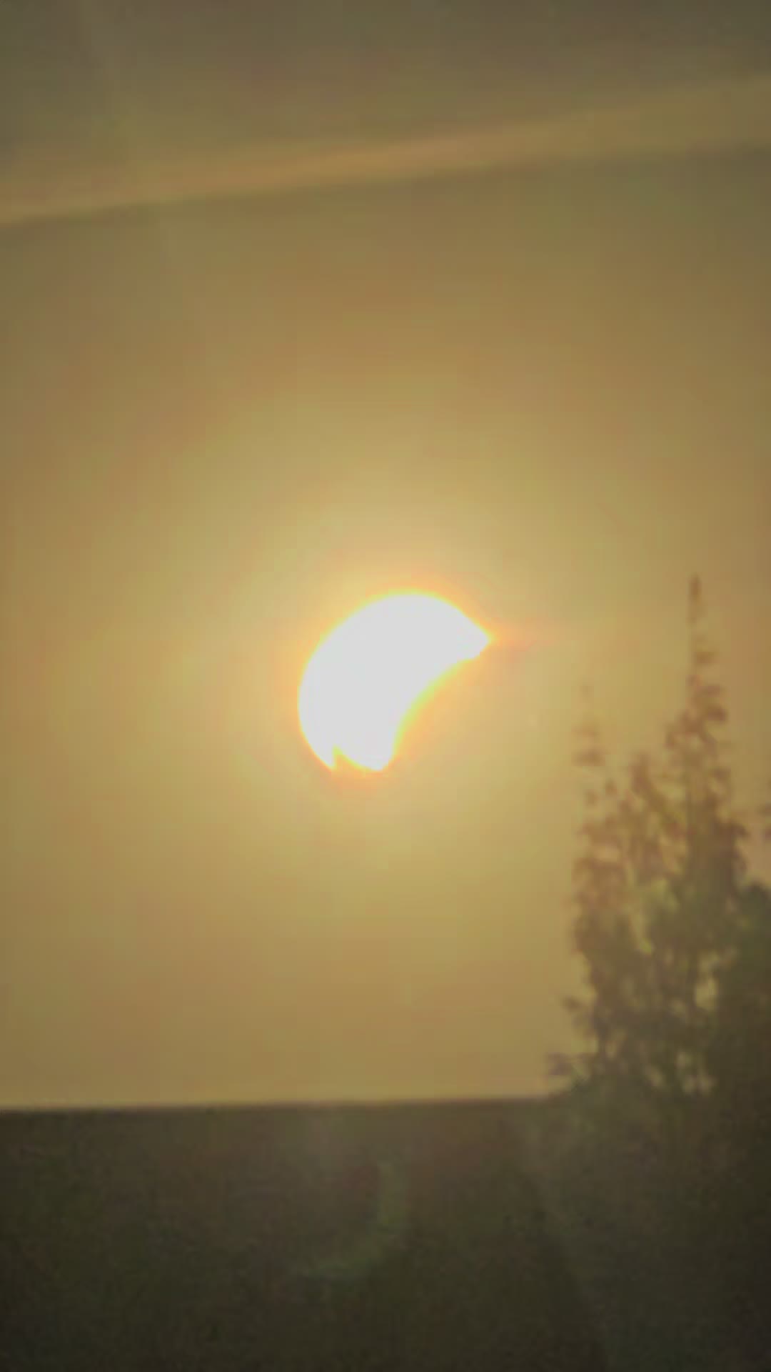 @sunshine_ela_☀️
