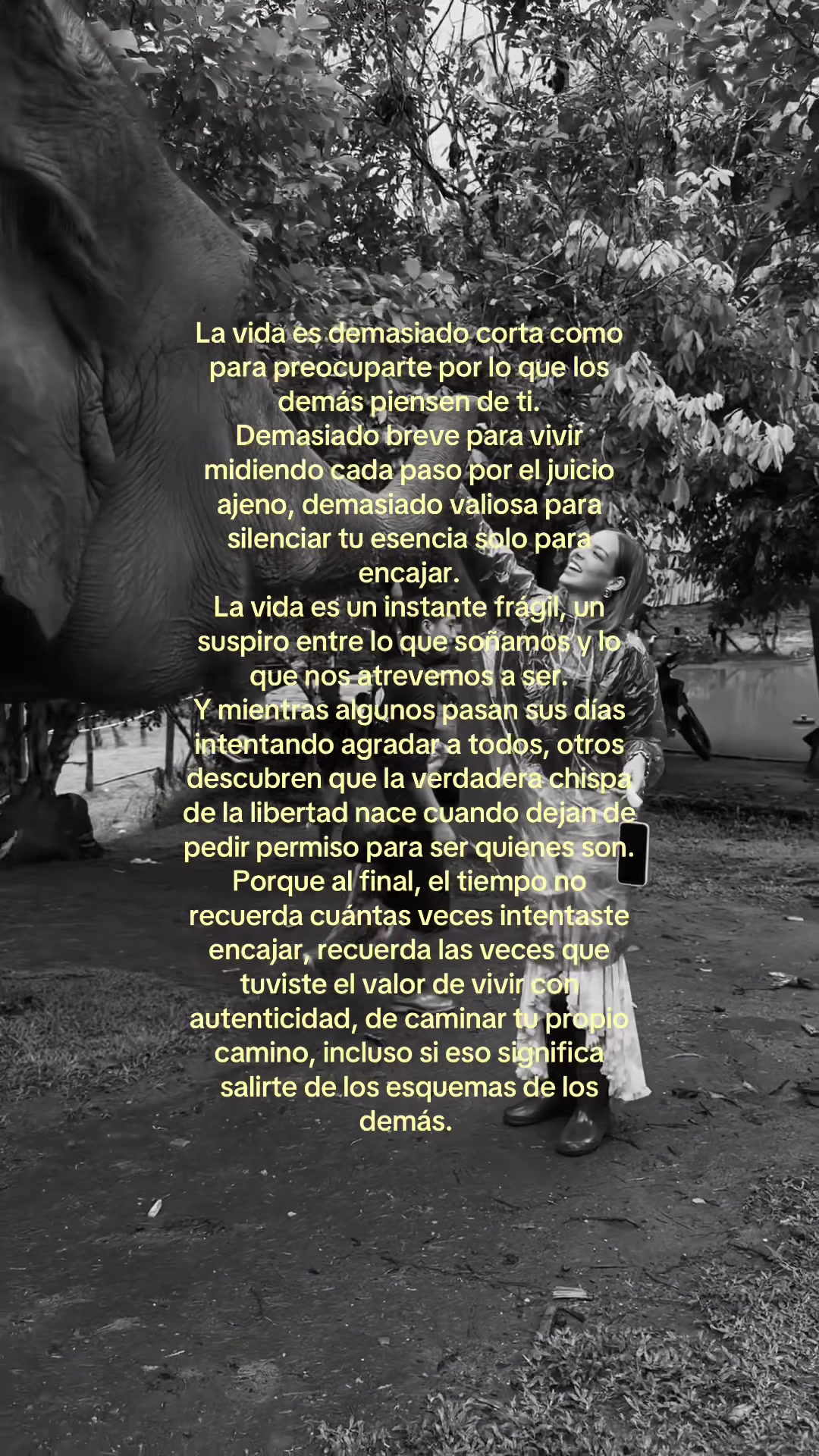 @Flavia Lopez