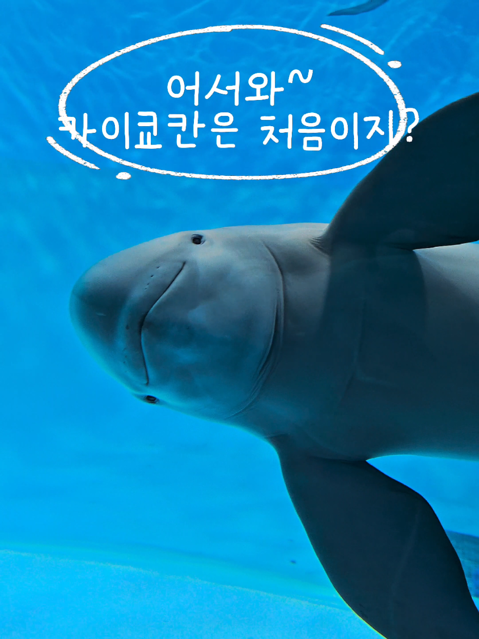 @WAYMORI