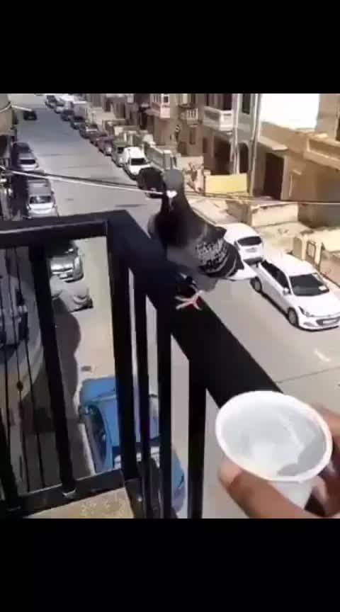@Erkan Birkan Ece
