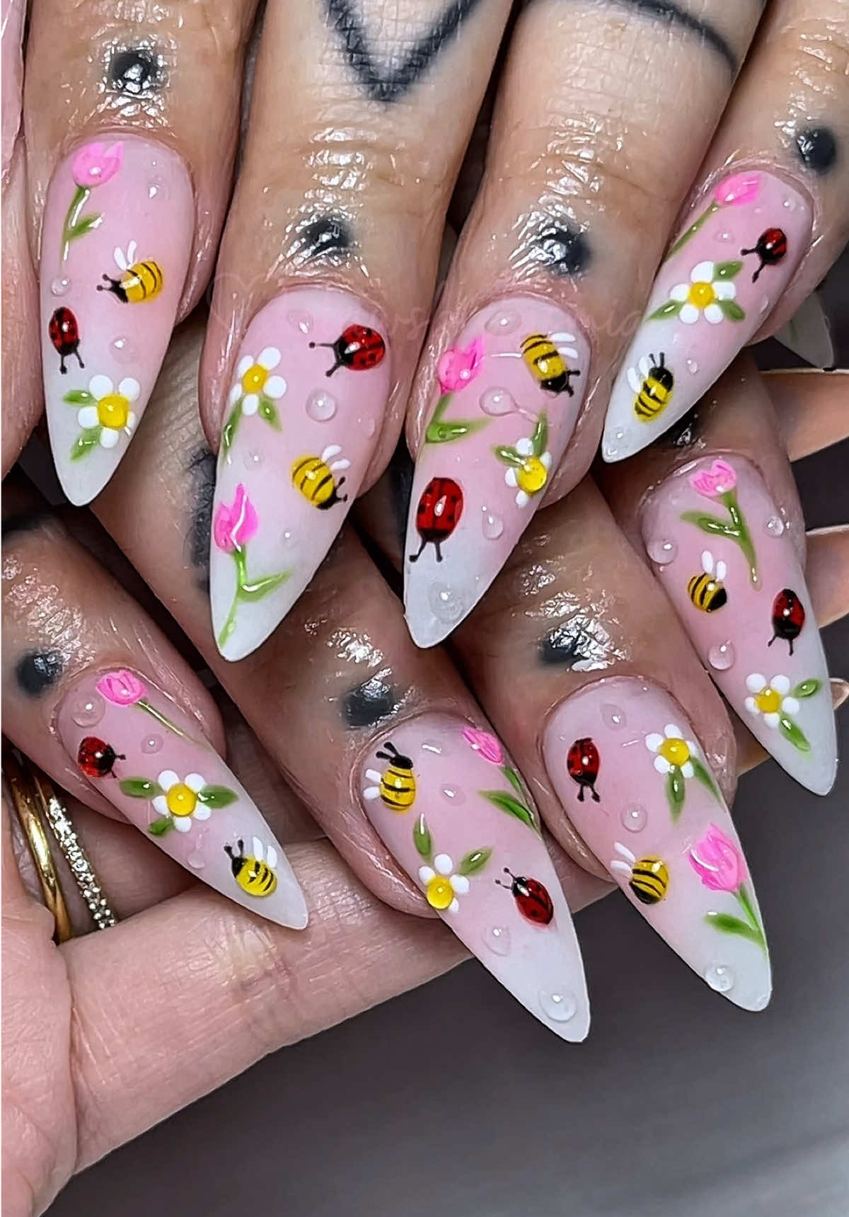 @clawsbytasmia ✨