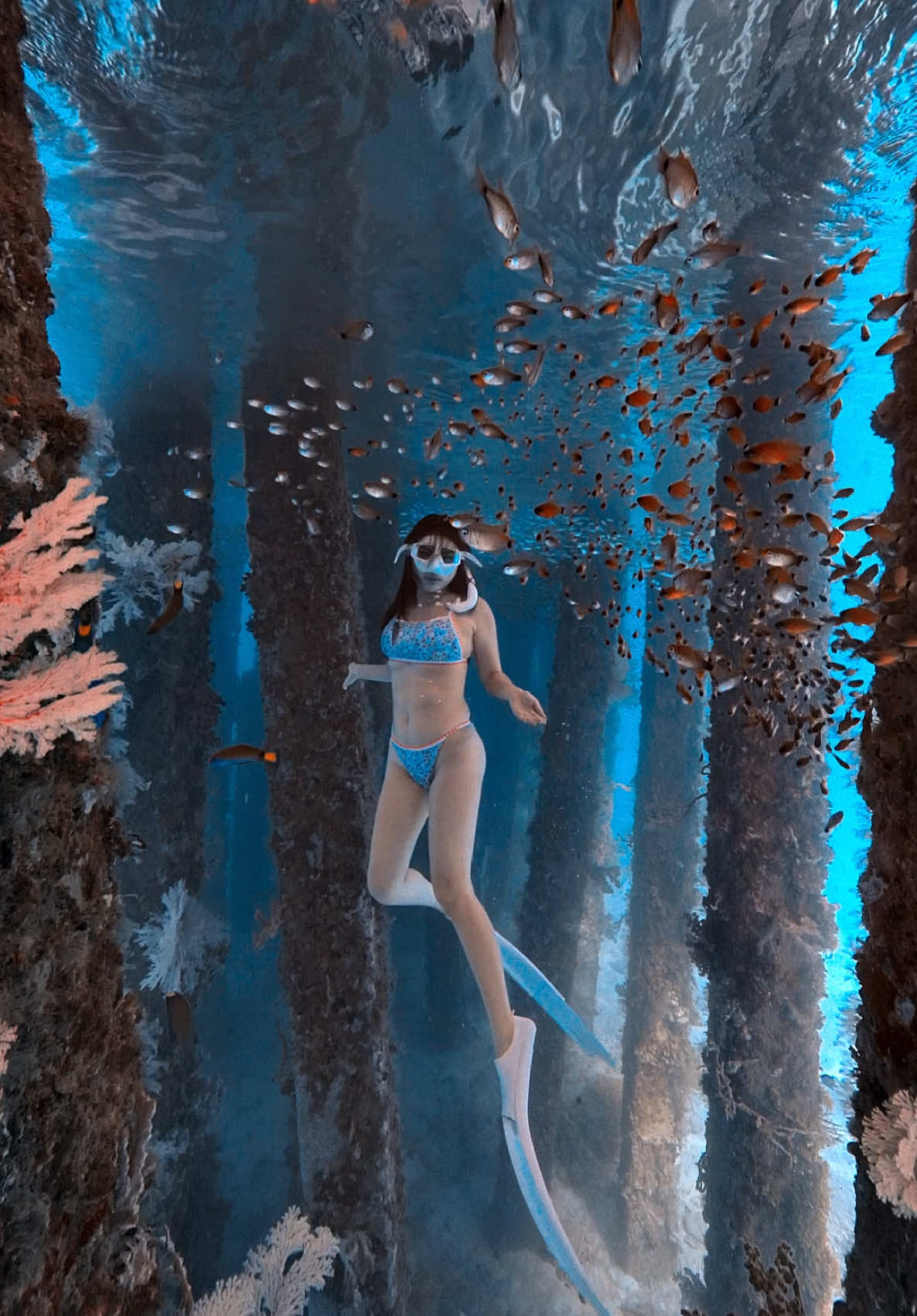 @@voltamazingfreediver
