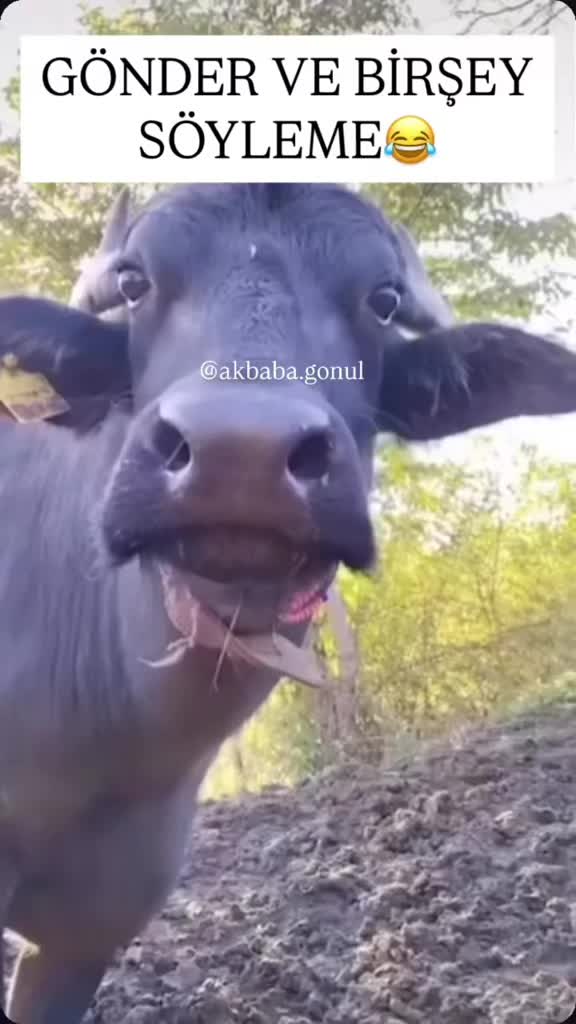 @꧁ ♍༺ ❤️ 𝗚ü𝗹𝗮𝘆 ❤️ ༻♍꧂