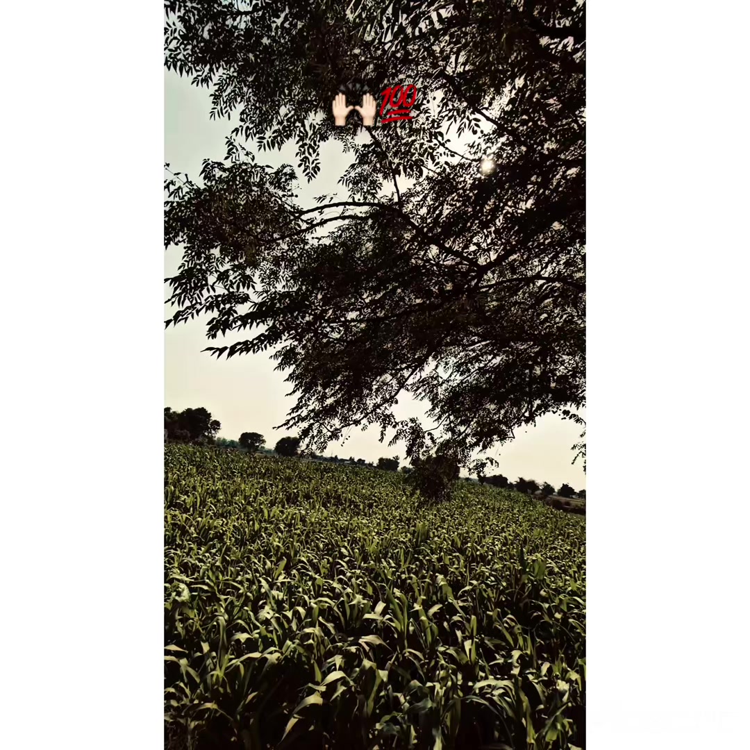 @Gujjar🔛🔝