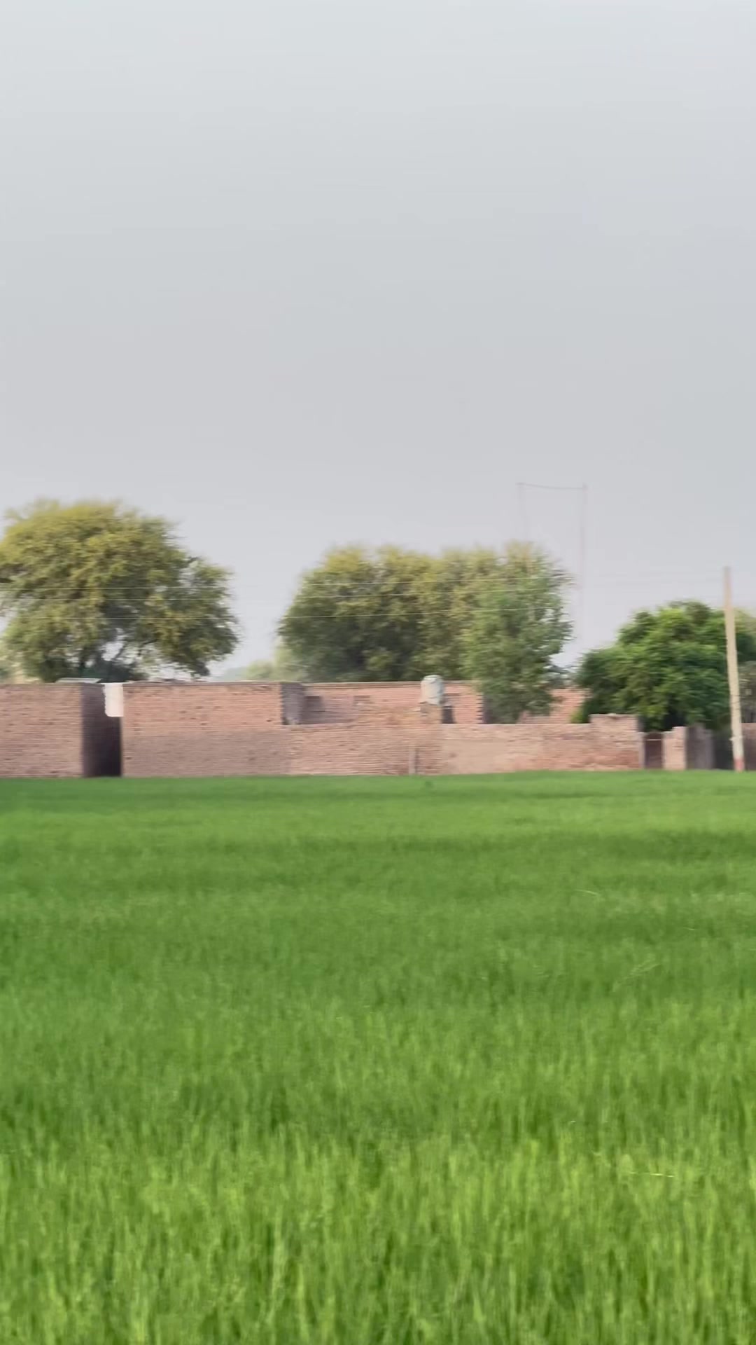 @M.HaSSaN 🇵🇰