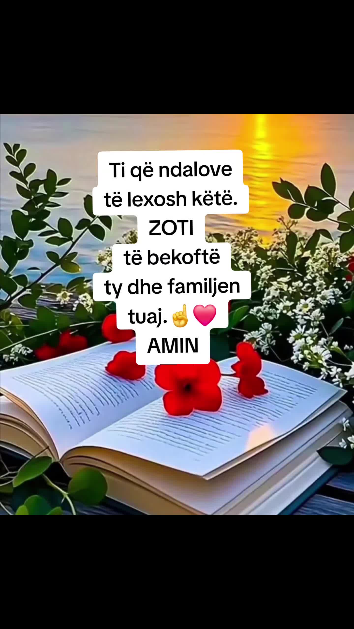 @Eli 🌸💎🌹🌸💎🌹