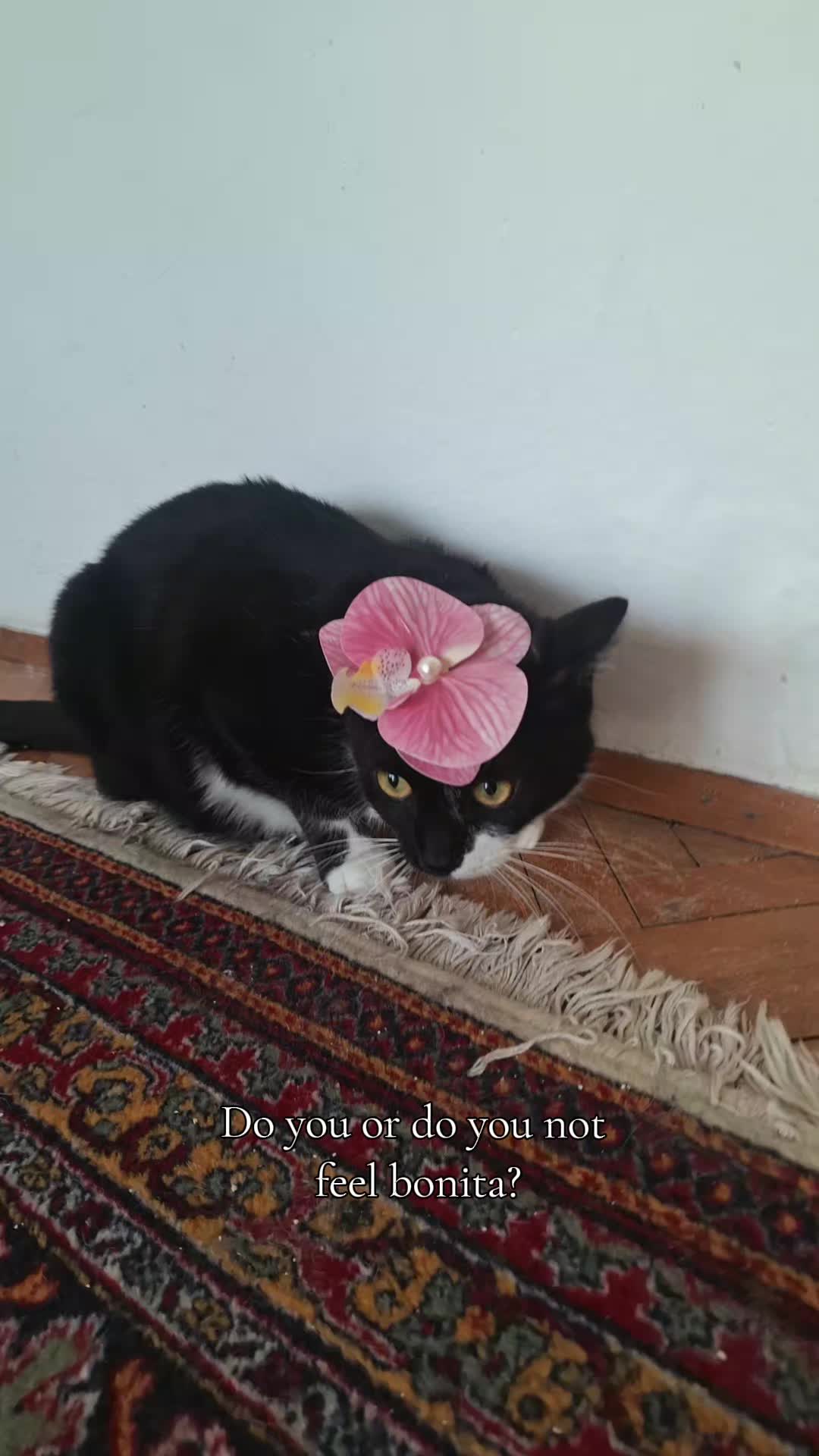 @Maja🌼