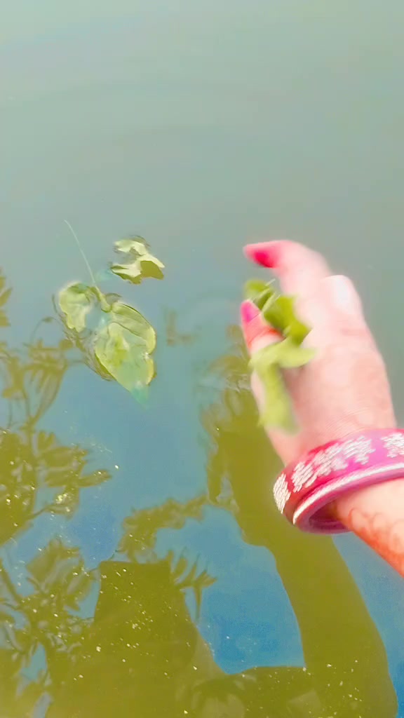 @Ritika Yadav