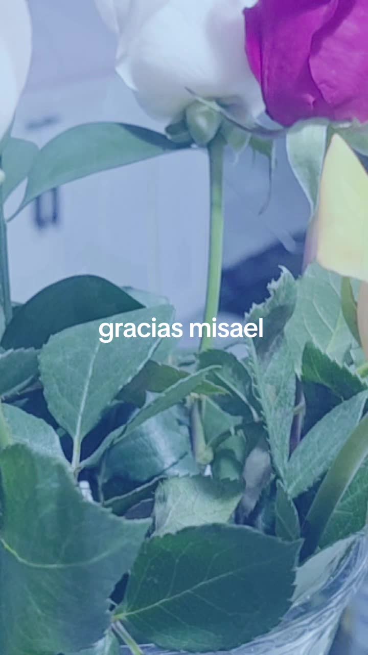 @melis