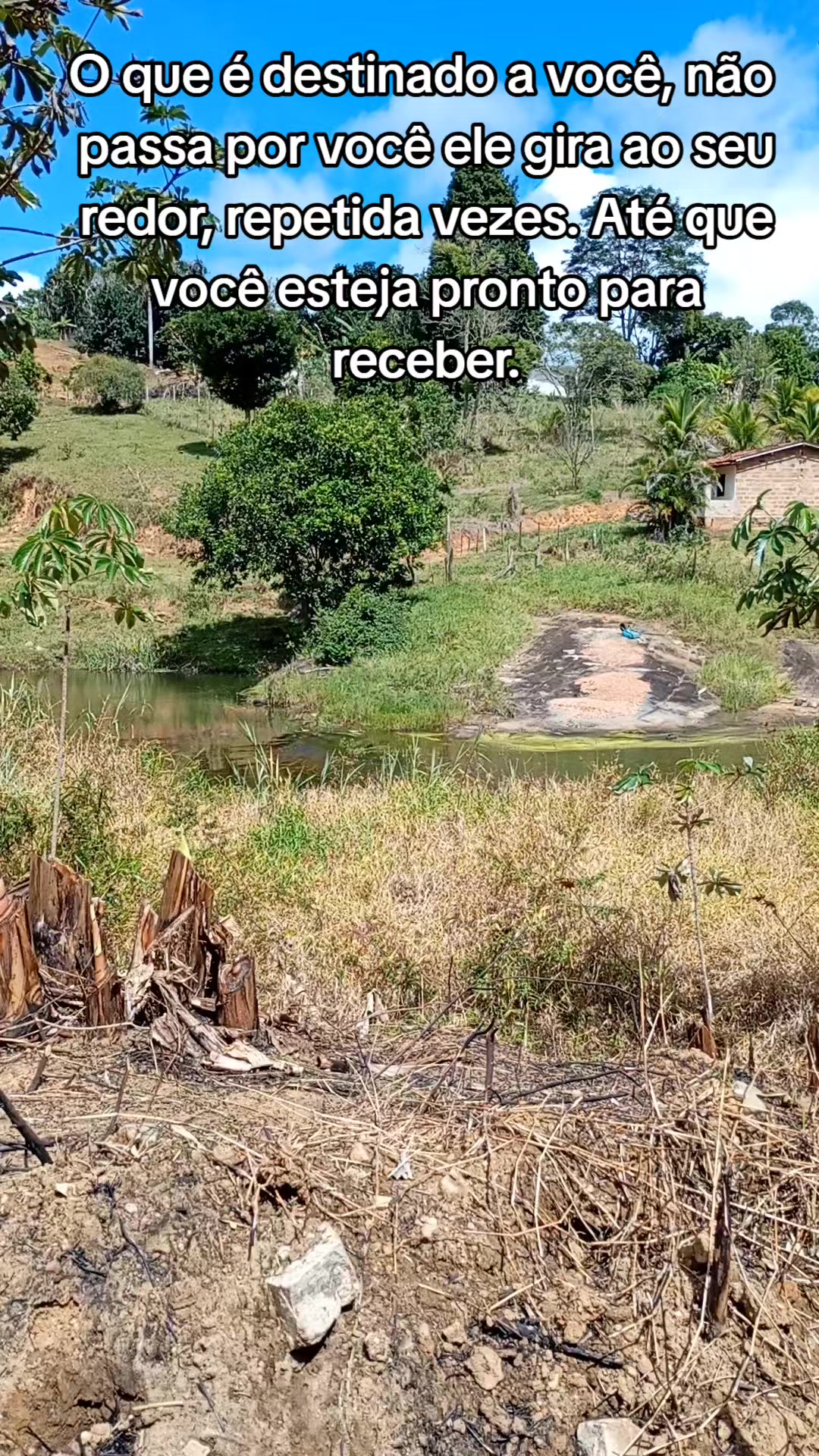 @Roça 🤠🌱