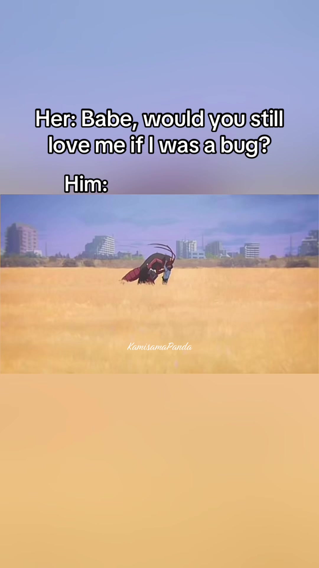 @KamisamaPanda