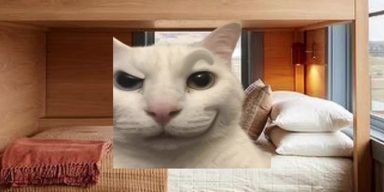 @talking with uncanny cat