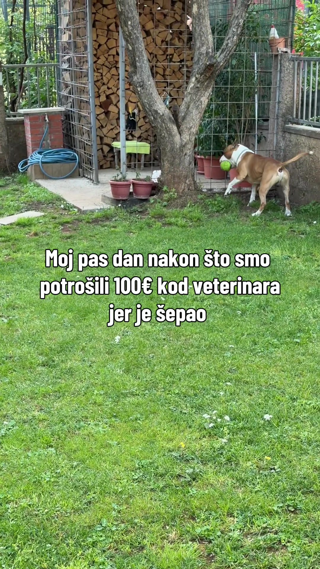 @djomaFit
