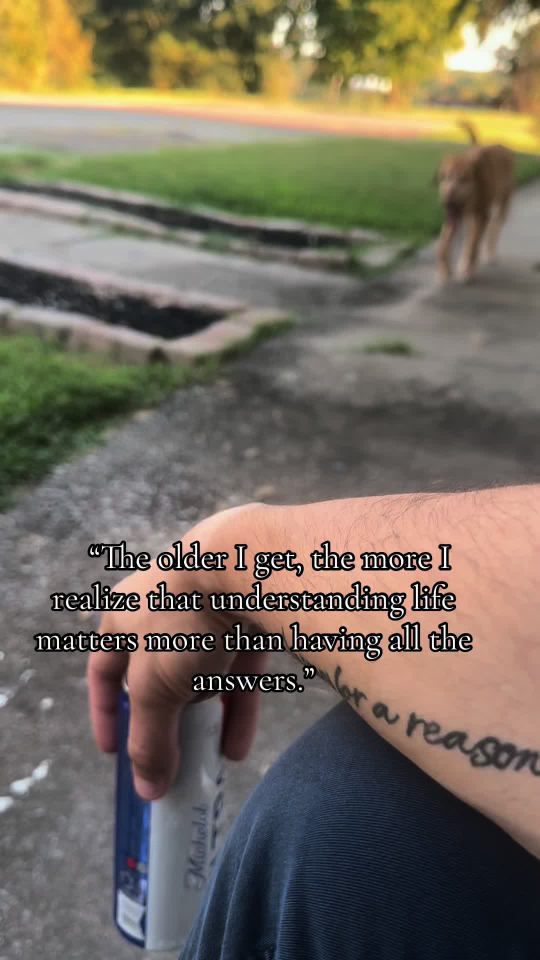 @B-R-A-N-D-O-N