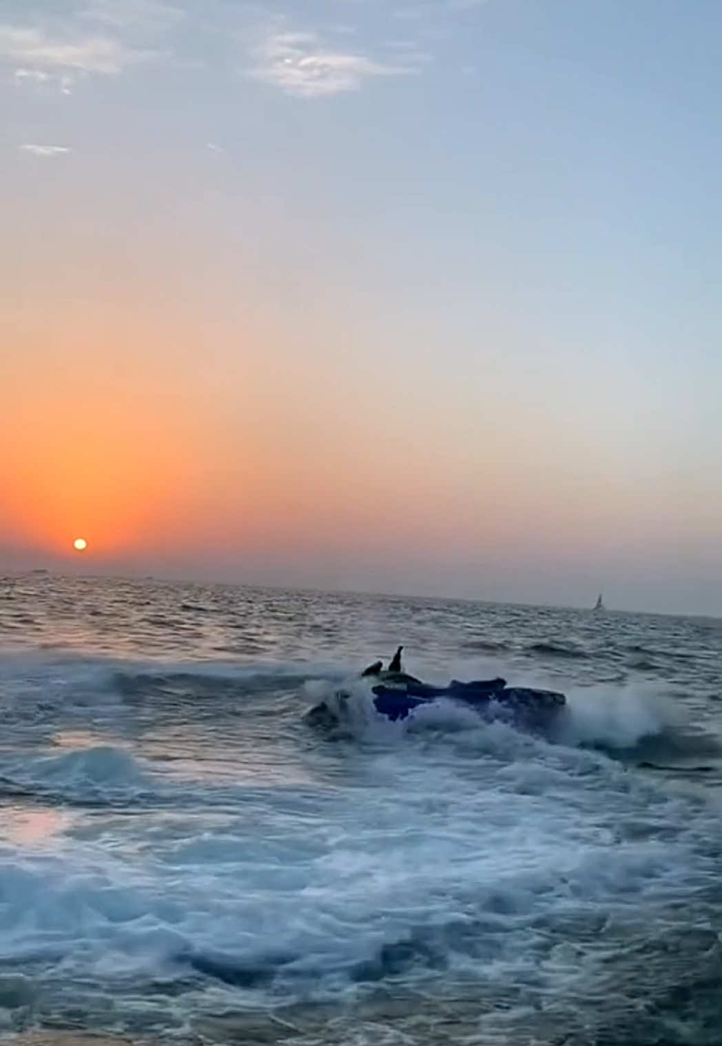 @Y11.ae