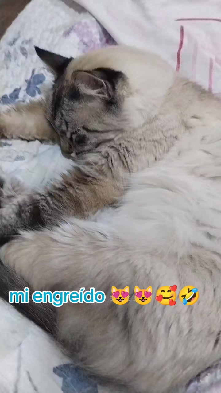 @@marianella🦋🐢