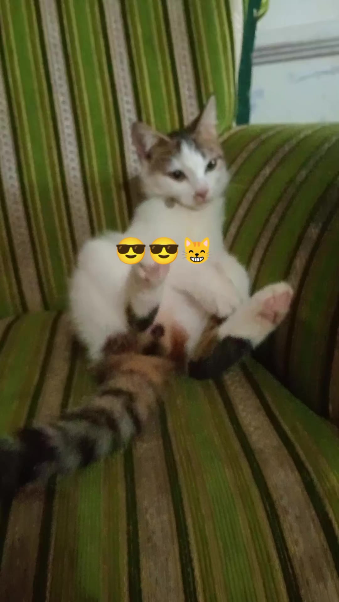 @Rizqi