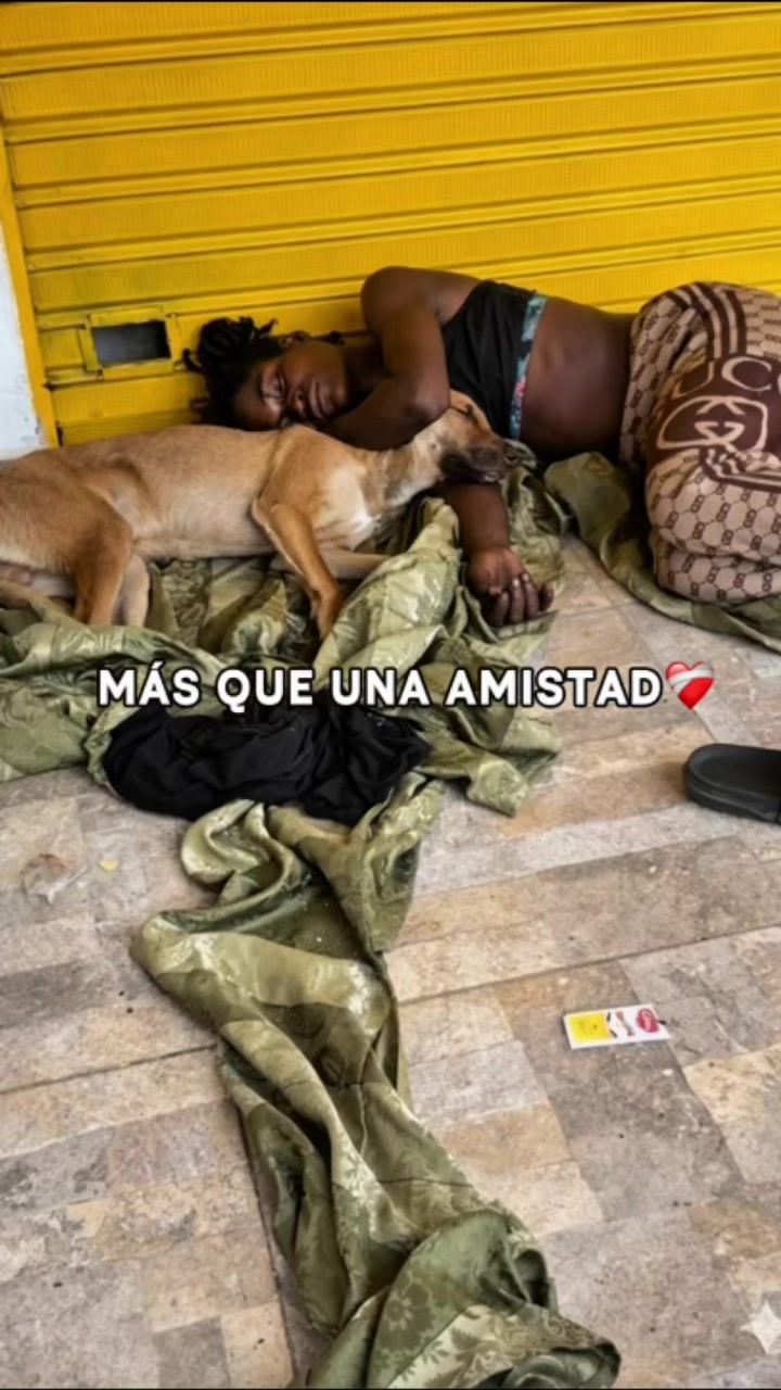 @el_gatoescobar