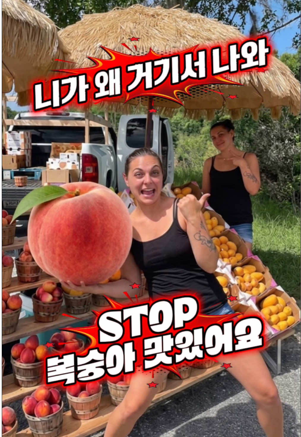 @Nomad James(노마드제임스)