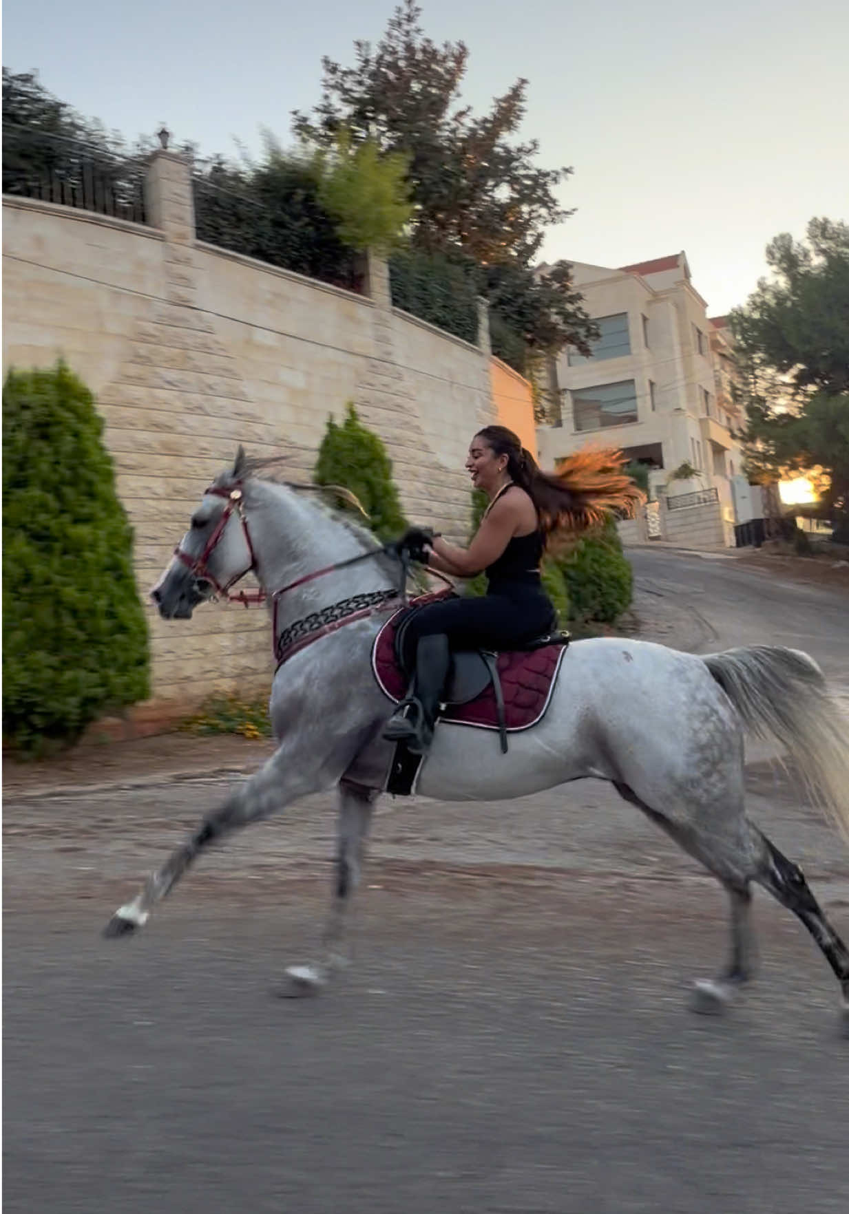 @لــيــن🐎
