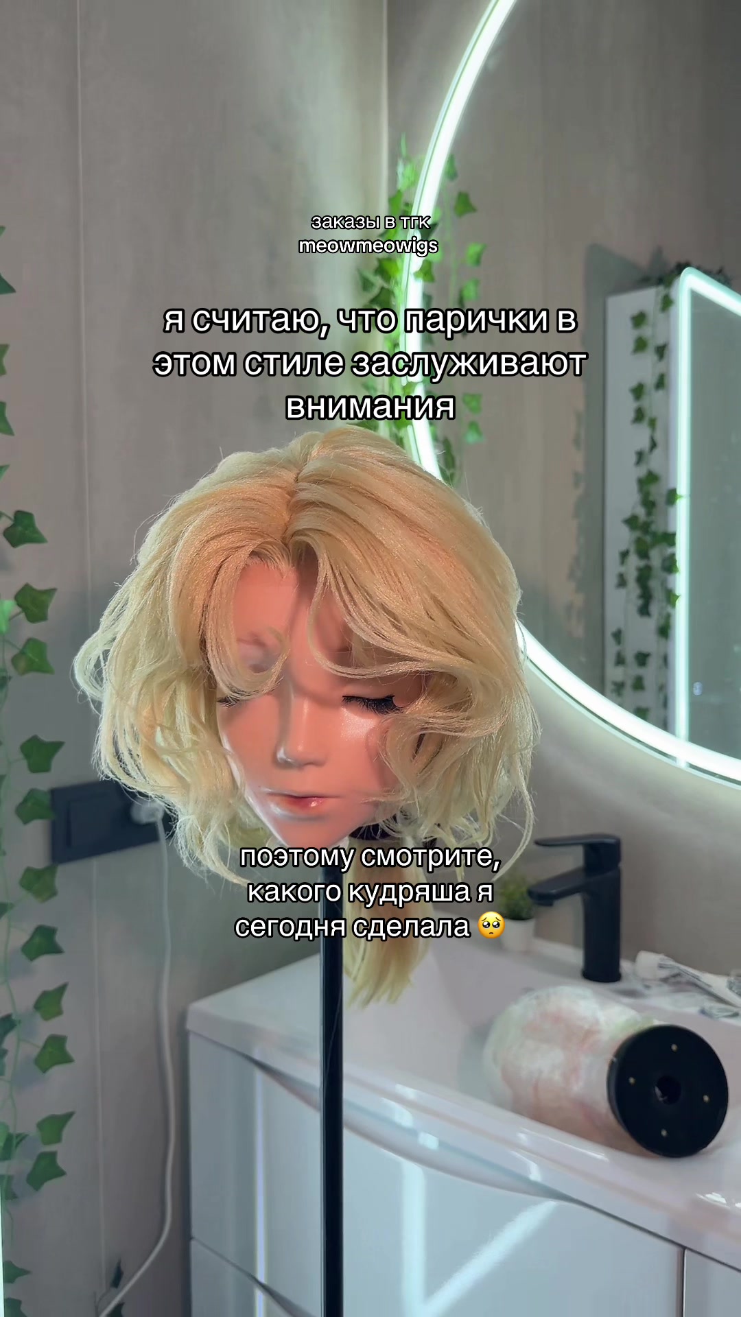 @тгк vivien & meowmulia˚✧₊