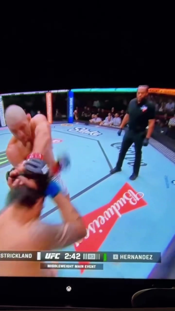 @Ermek___UFC