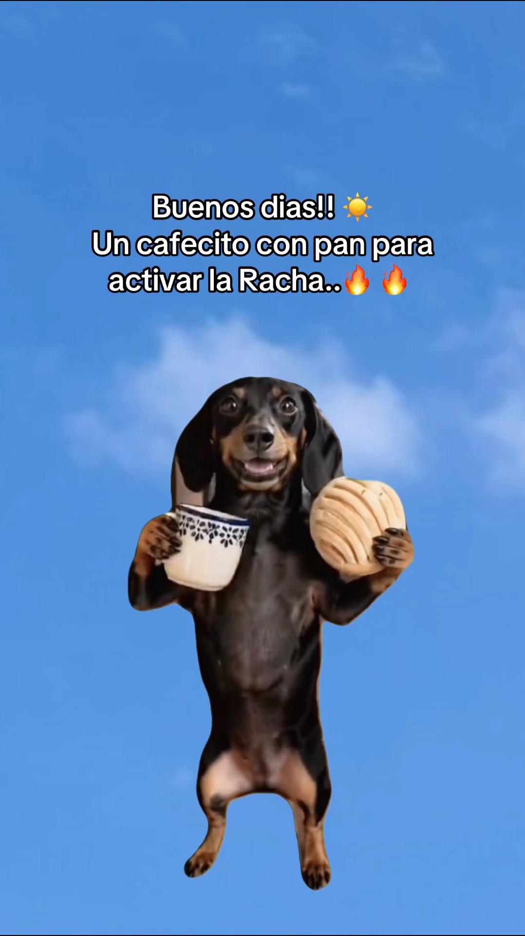 @Sandy Lara 