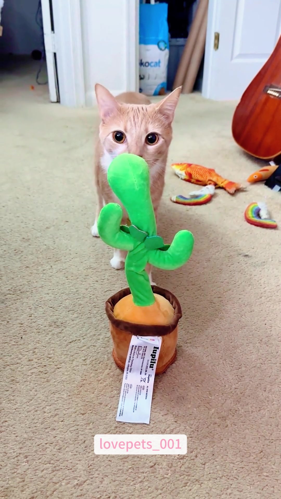 @lovepets_001