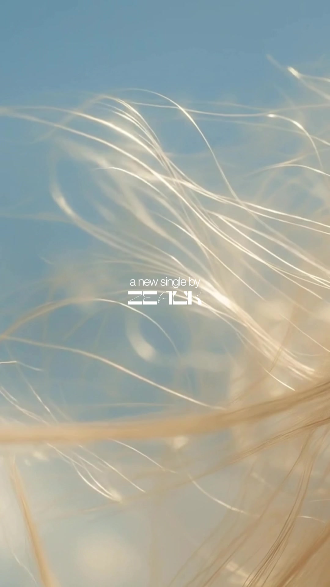 @zeauk