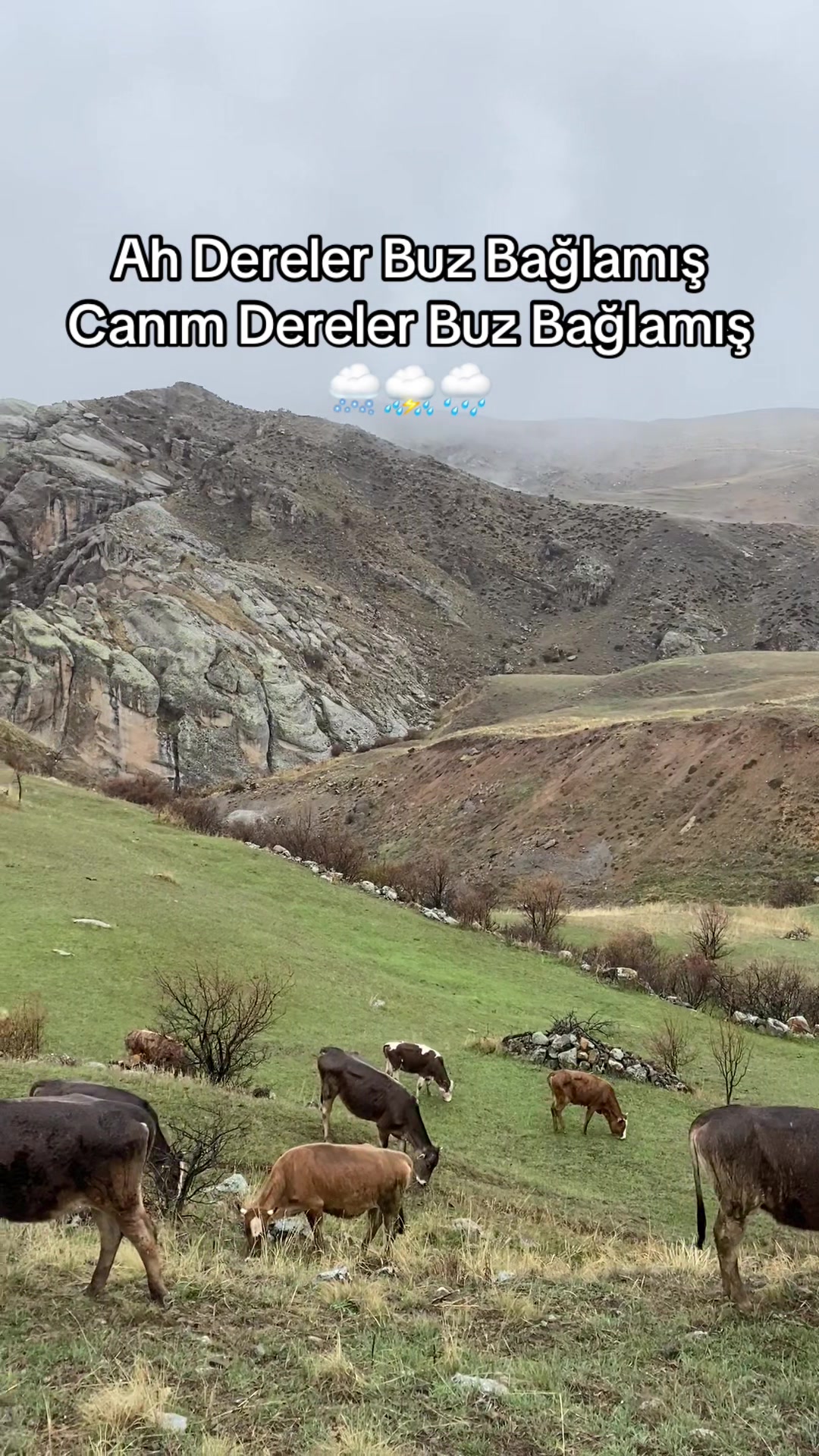 @doğukan