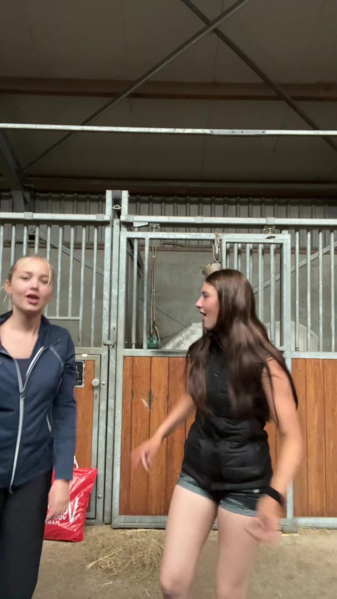 @🇳🇱 yara’s horselife 🇳🇱