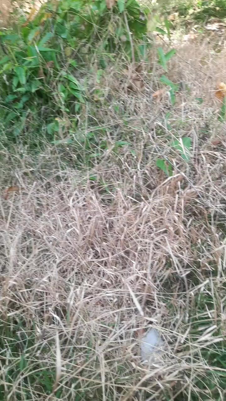 @Diễm chia sẻ