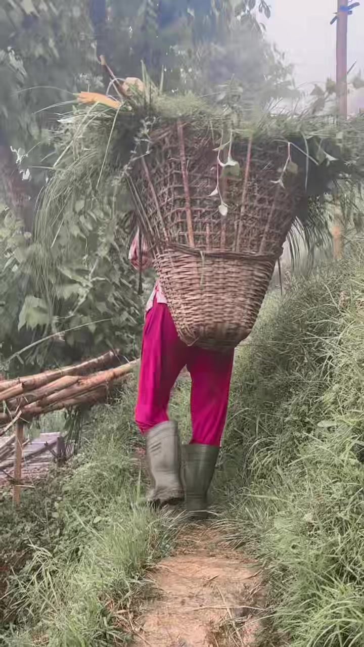 @🕉️ROSHANI🕉️