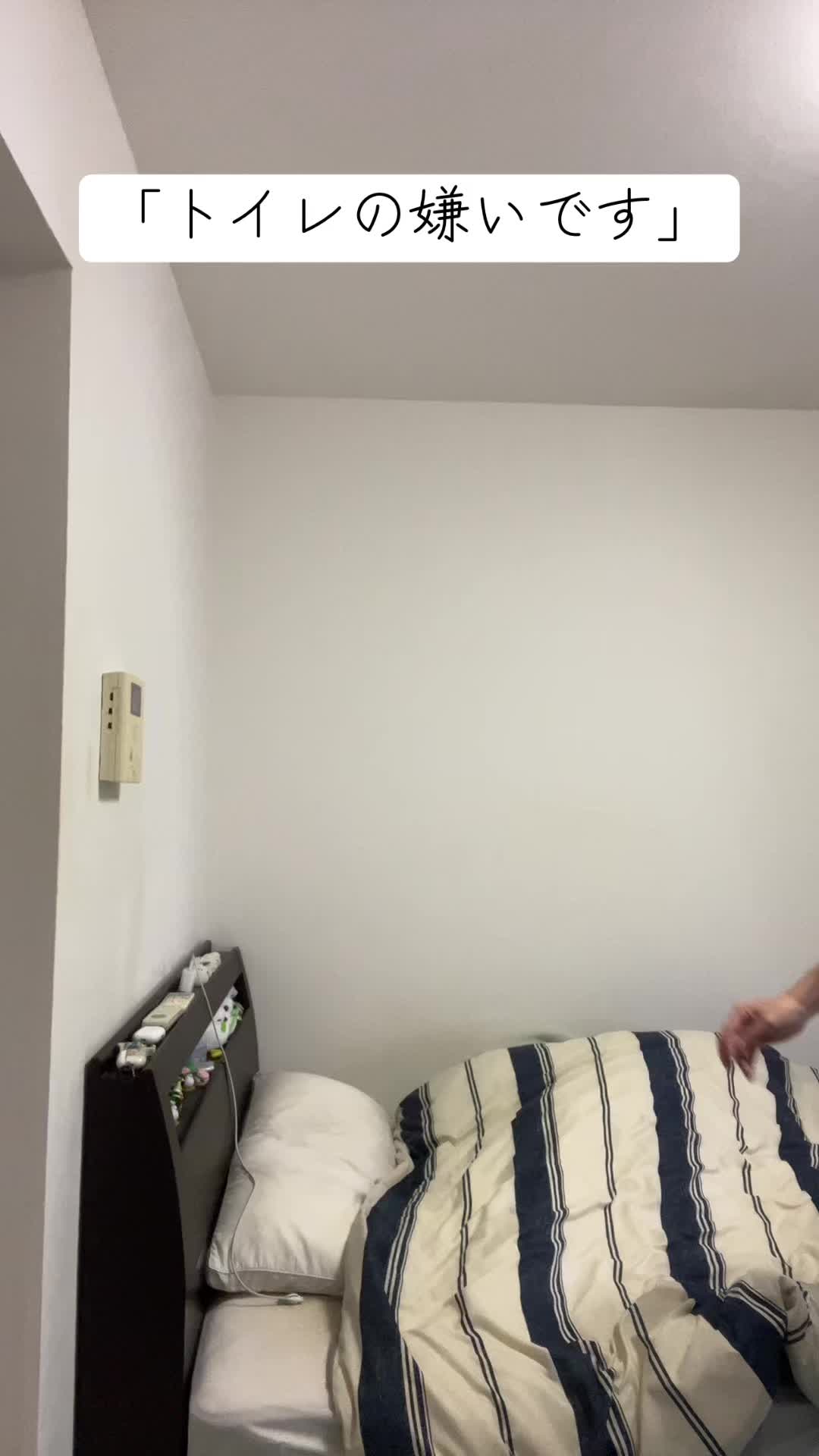@玉川 寿紀 (毎日投稿)