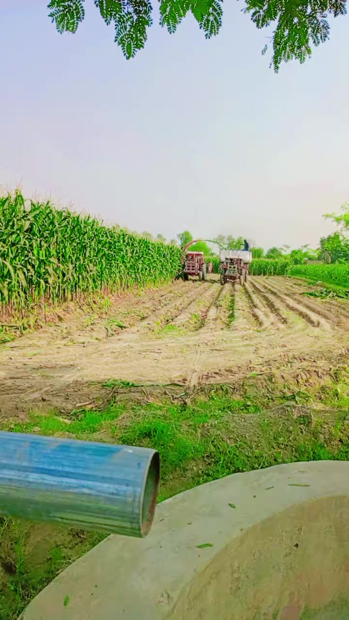 @Miandairyfarm