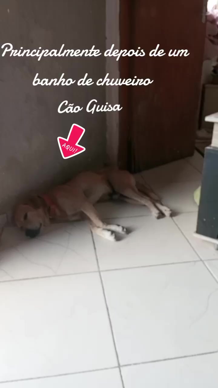 @Bartira &eacute; cultura 👆🙄
