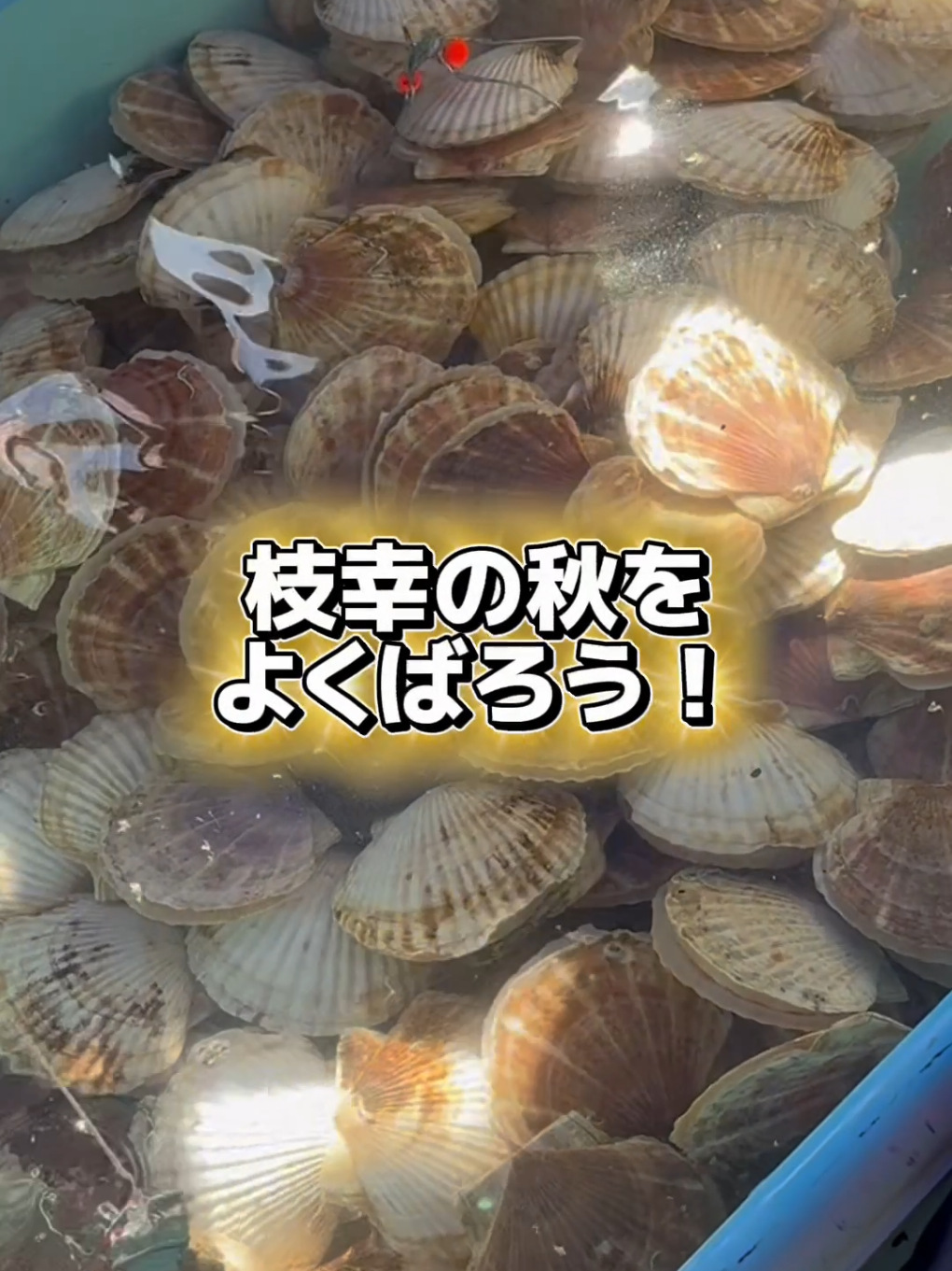 @えさっしーちゃんねる【枝幸町観光協会】