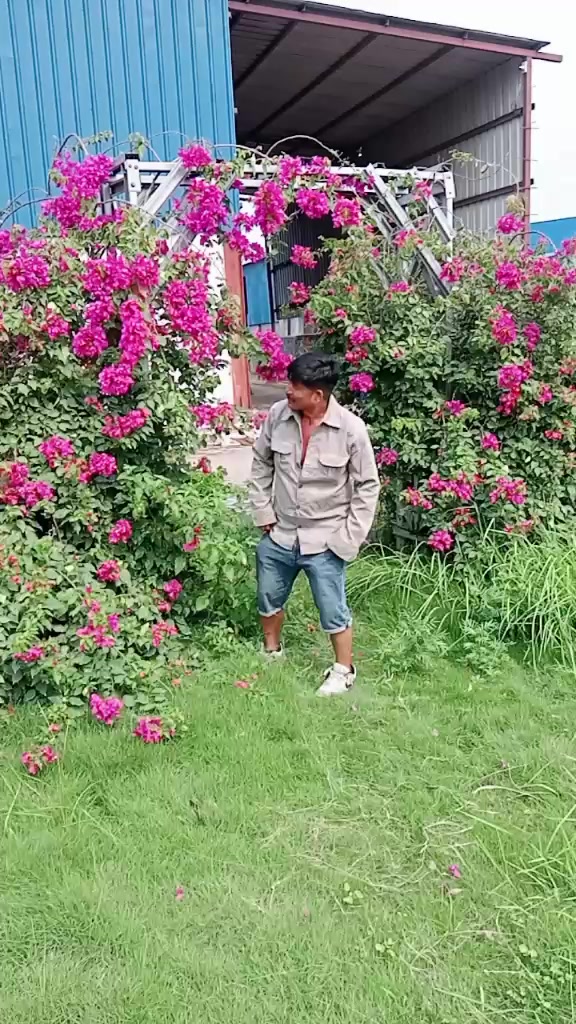 @Naresh Rai166