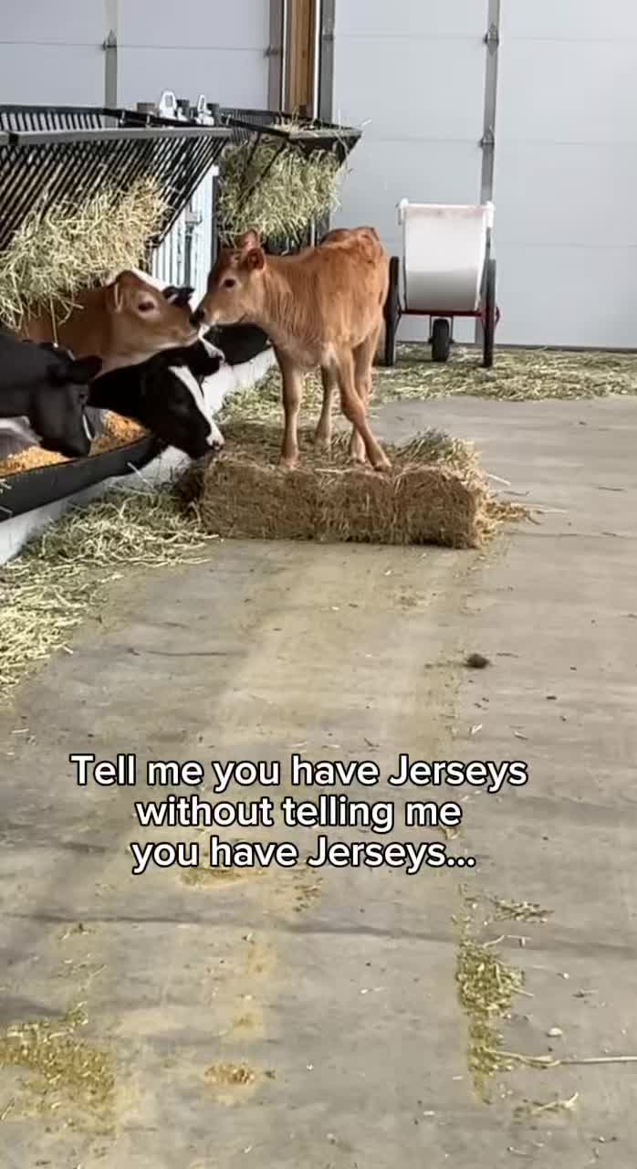 @Megan